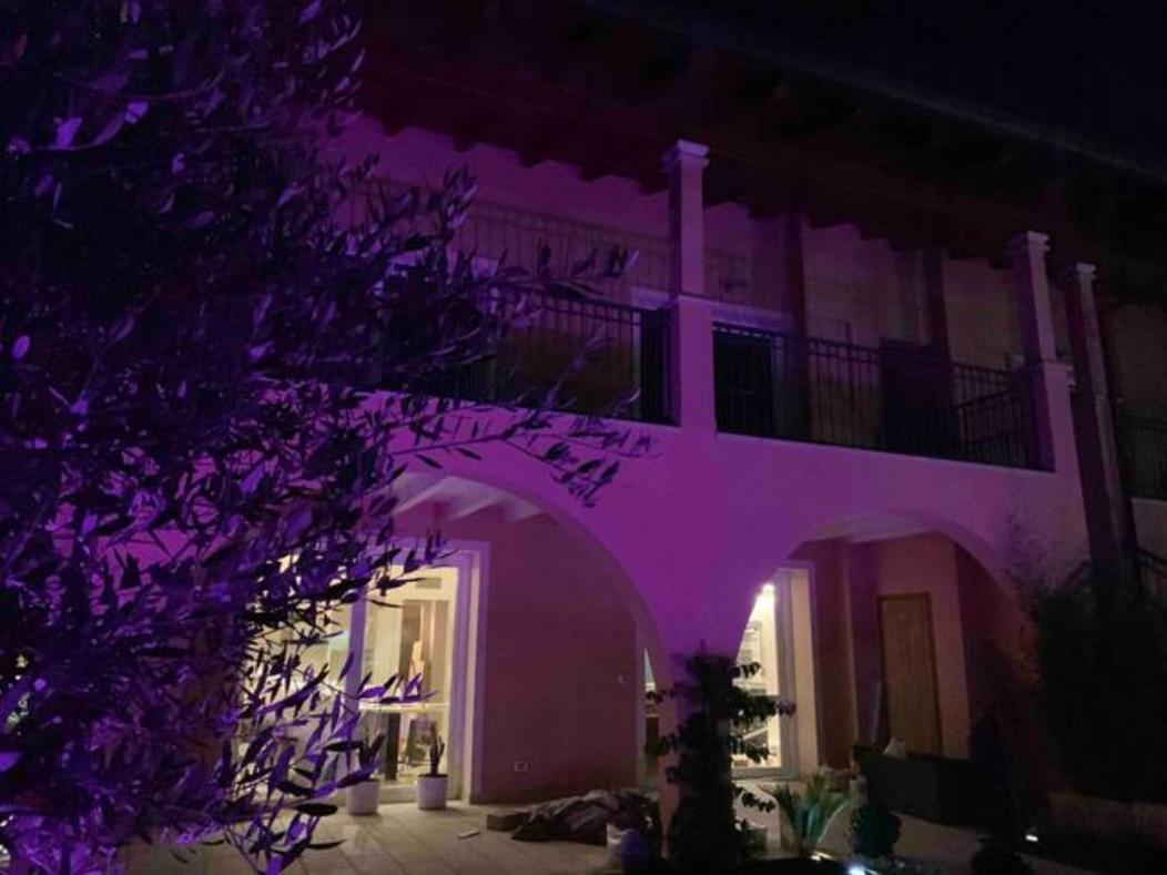 Apartment Charme And Relax With Garden And Swimming Pool Дезенцано-дель-Гарда Экстерьер фото